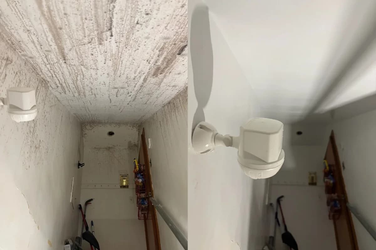 Bactronix of Charleston mold testing inspection and certified lab analysis in Summerville SC